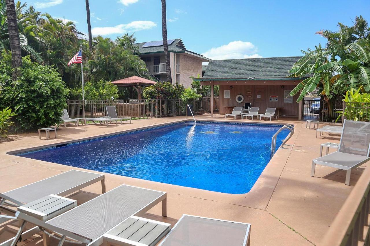 Kalama Terrace P-307 - Charming 1/1 Near Kam 1, Ac Kihei Exterior photo