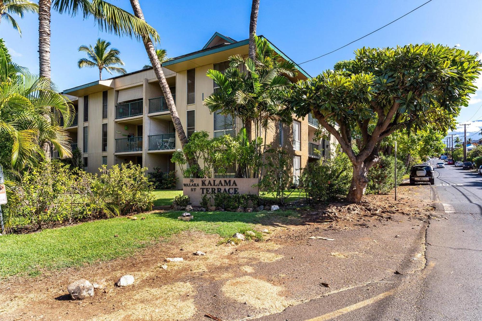 Kalama Terrace P-307 - Charming 1/1 Near Kam 1, Ac Kihei Exterior photo