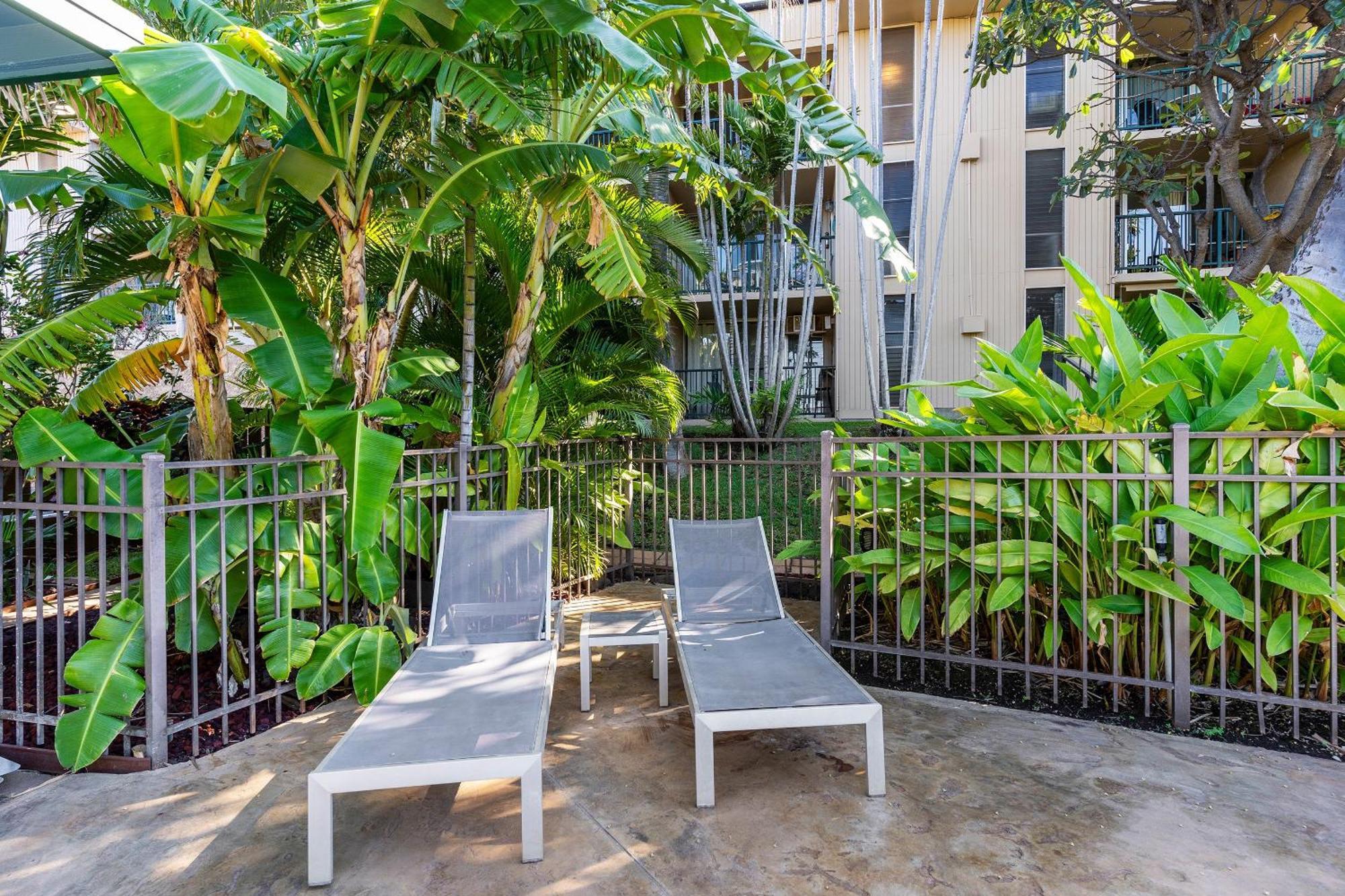 Kalama Terrace P-307 - Charming 1/1 Near Kam 1, Ac Kihei Exterior photo