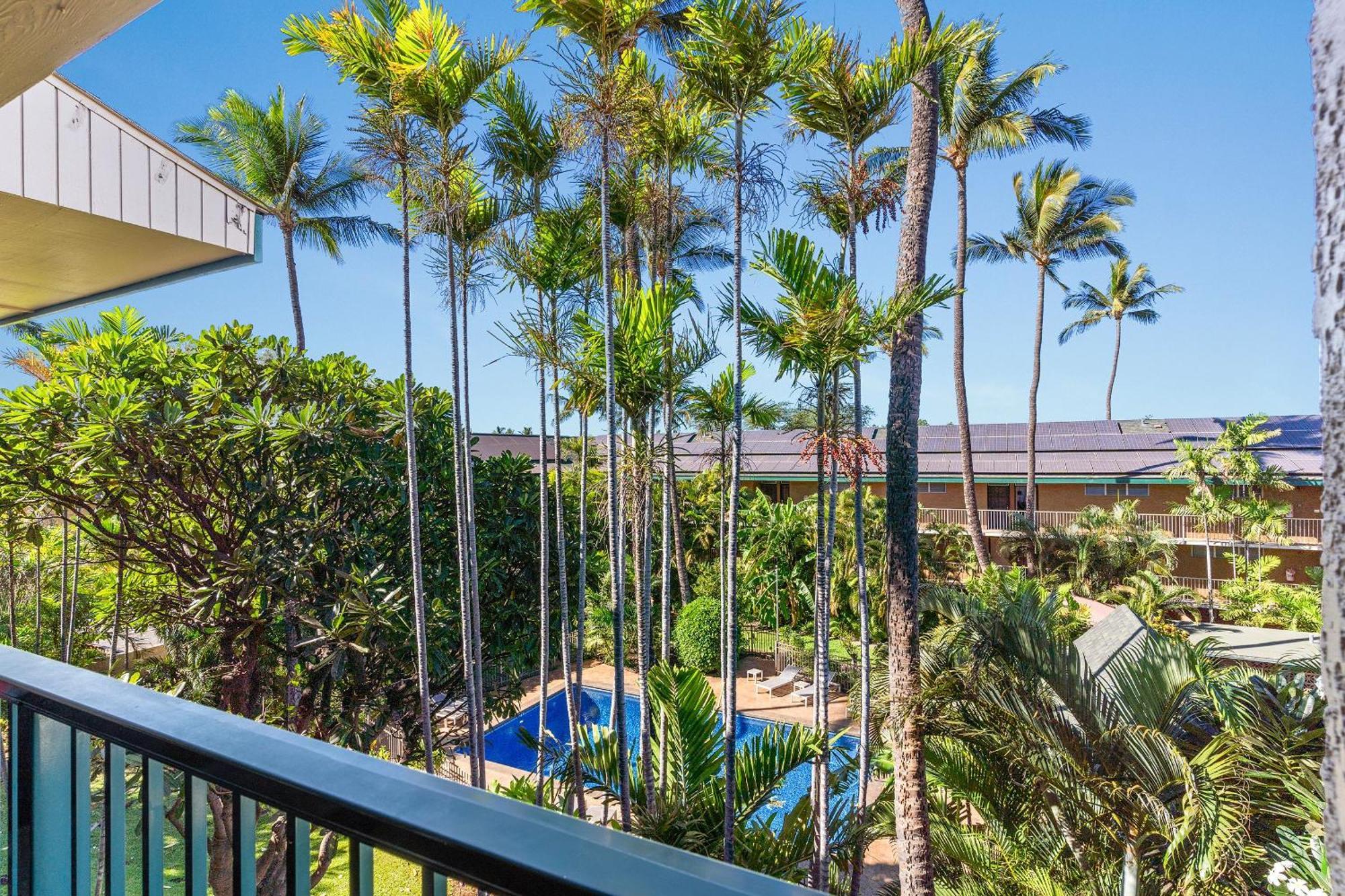 Kalama Terrace P-307 - Charming 1/1 Near Kam 1, Ac Kihei Exterior photo